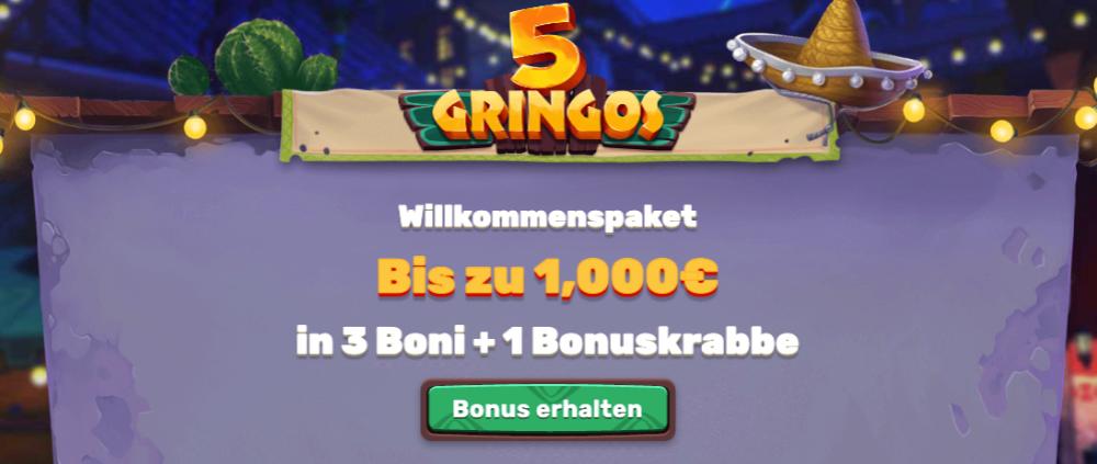 5gingos casino Willkommensbonus